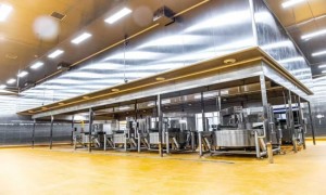开店进底料别踩坑——蓉八坊谈火锅店商用批发要点