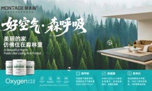 2026全国艺术漆加盟品牌解析